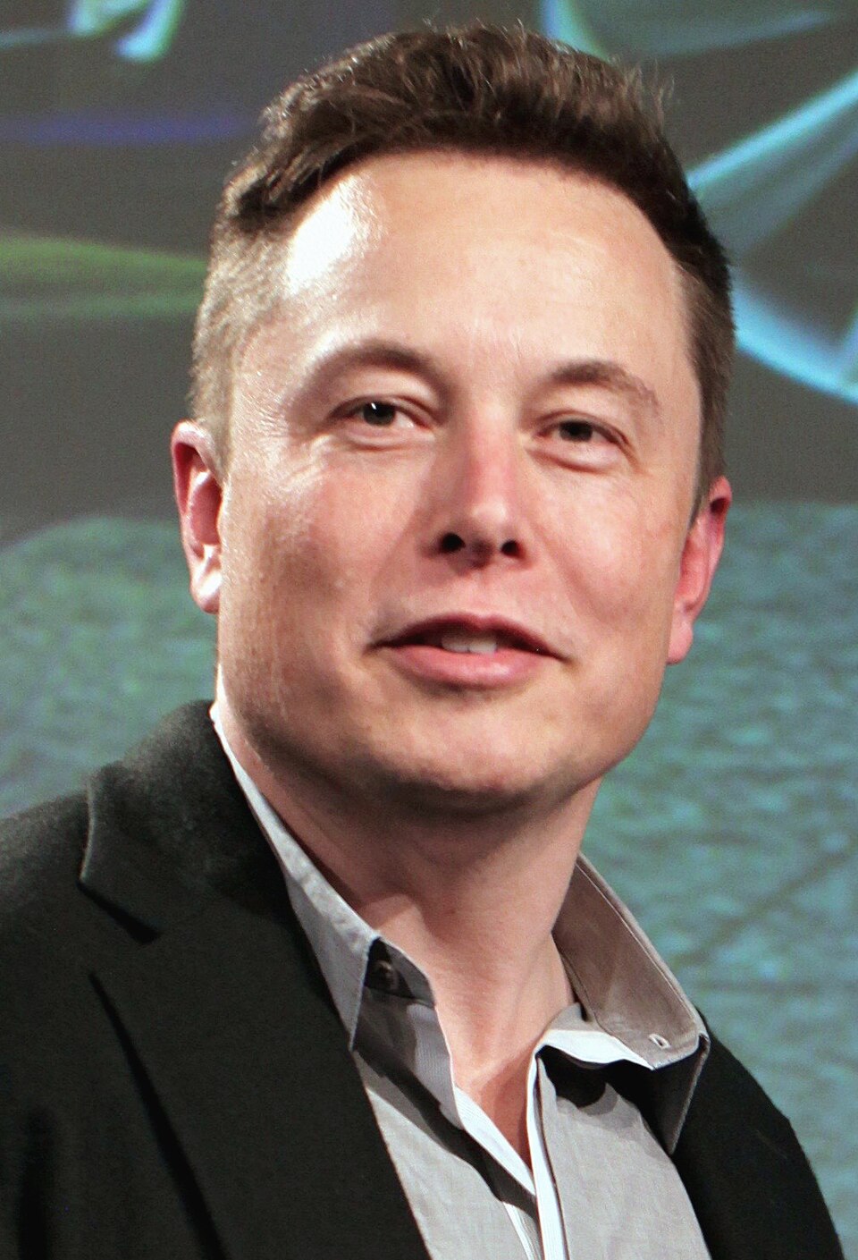 Elon Musk portrait