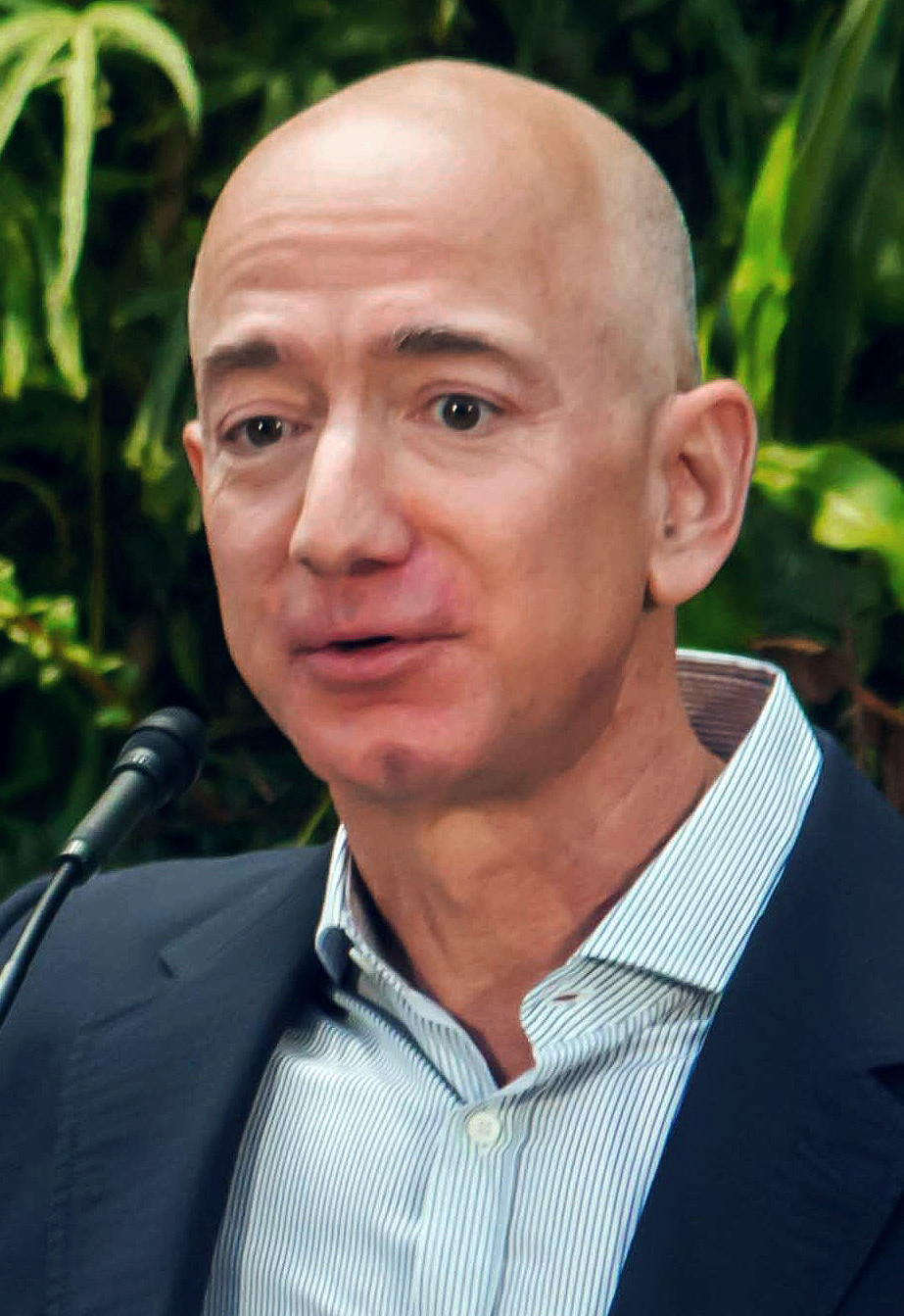 Jeff Bezos portrait